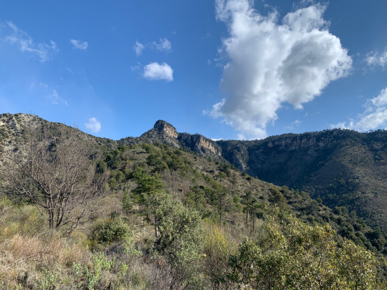 Mont Colombin