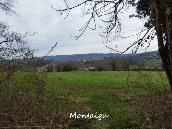Mont des Tartres