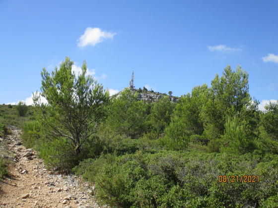 Mont du Marseillais