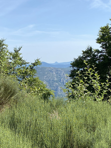 Mont Gerbier de Jonc