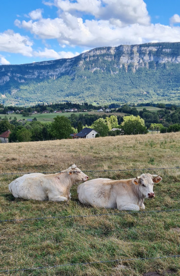 Mont Grelle