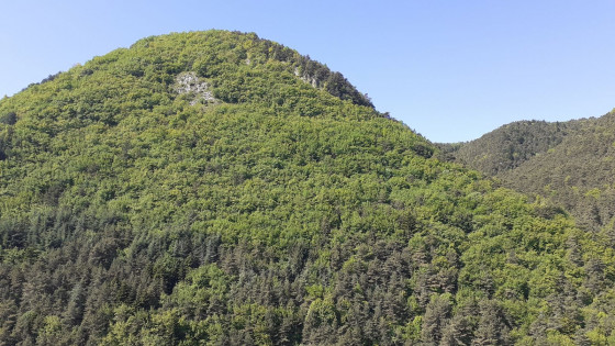 Mont Gros