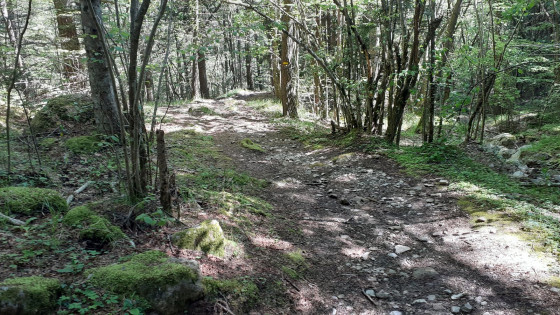 Mont Gros