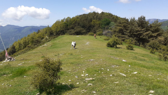 Mont Gros