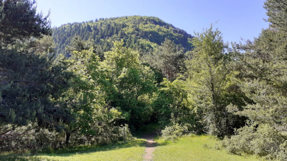 Mont Gros
