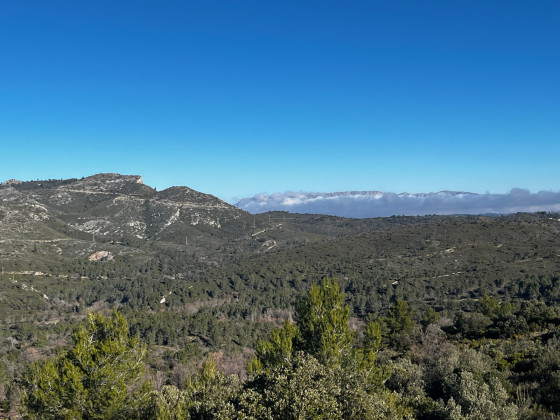 Mont Julien