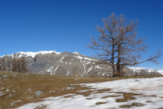 Mont Mounier