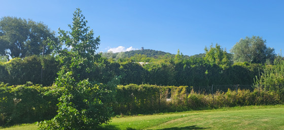Mont St Quentin