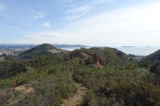 Mont Turney