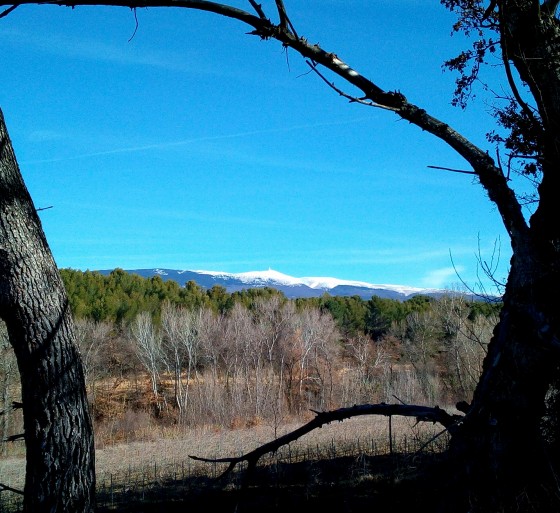 Mont Ventoux