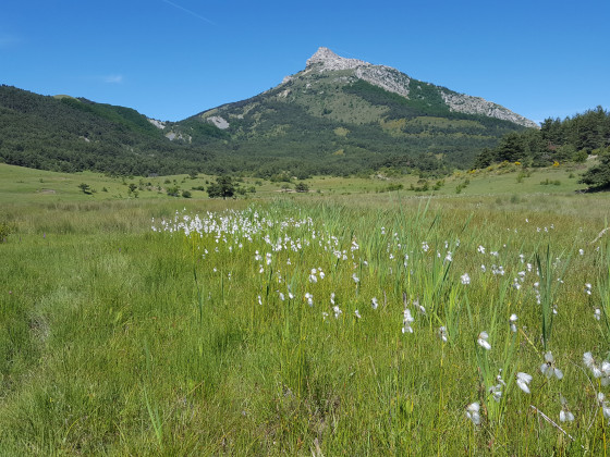 Montagne d'Aujour - J.NOGUER