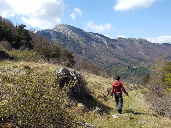 Montagne d'Aujour