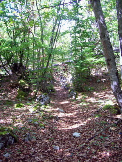 Montagne de Bange