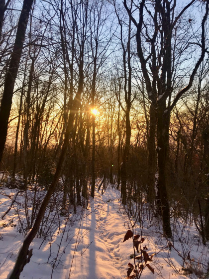 Montagne de Cuny