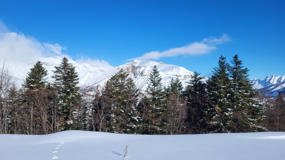 Montagne de Garnesier et tête des Ormans