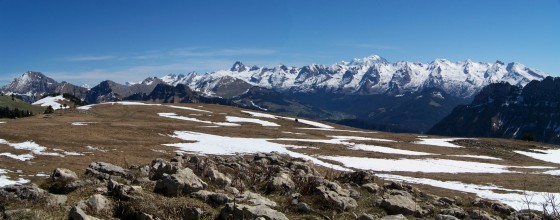 Montagne des Auges - Printemps
