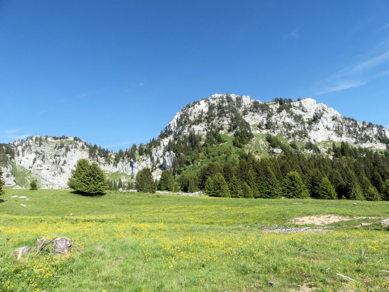 Montagne des Auges