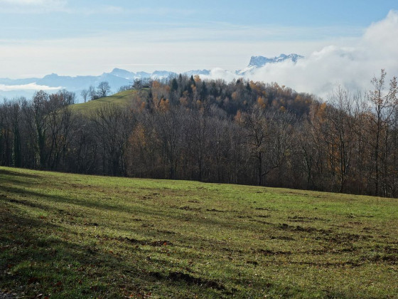 Montagne du Mulet
