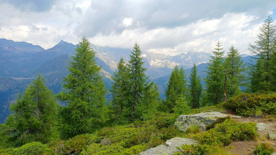 Monte Charvaz
