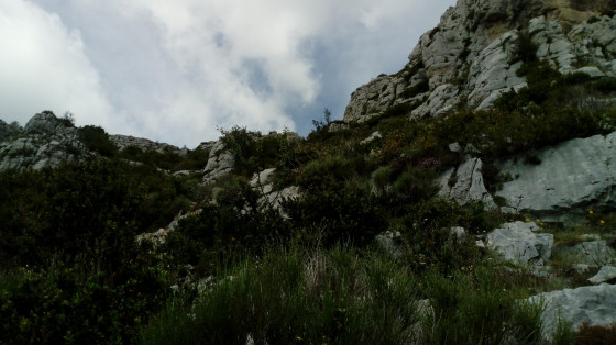 Monté dans le pierrier
