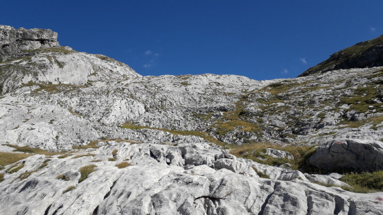 Monte Mongioie