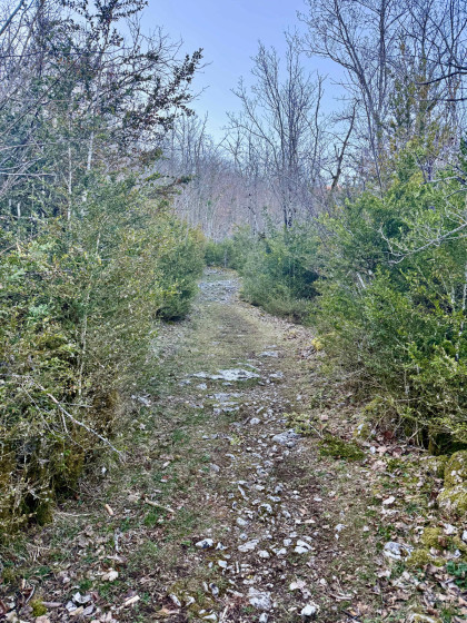 Montée à la Grotte des Bœufs