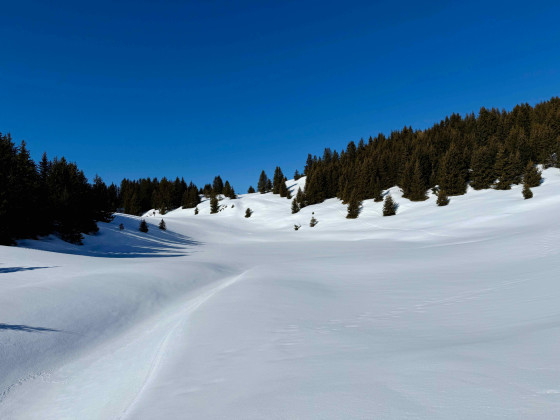 Montée à Crêt Coquet