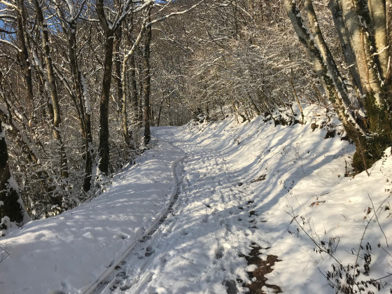 Montée à Romagnieux