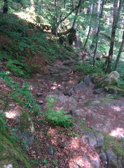 Montée après le Lac