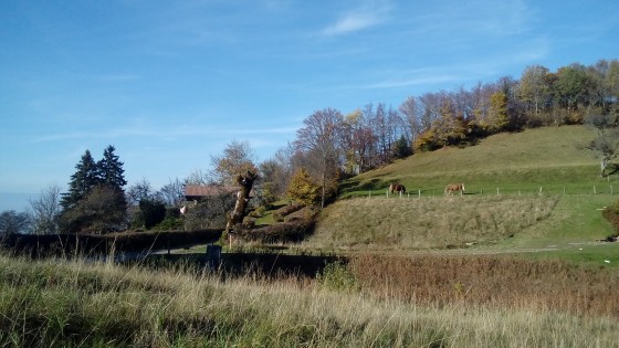 Montée au belvédère