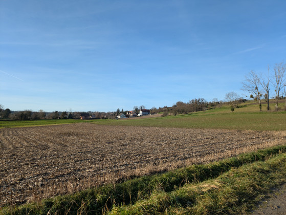 Montée au bord d\'Eschentzwiller