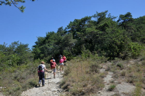 Montée au col de l\'Armurier.