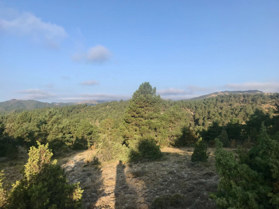Montée au Coll de Tombadors