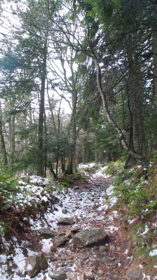 Mont&eacute;e au Cr&ecirc;t de la Perdrix c&ocirc;t&eacute; Sud