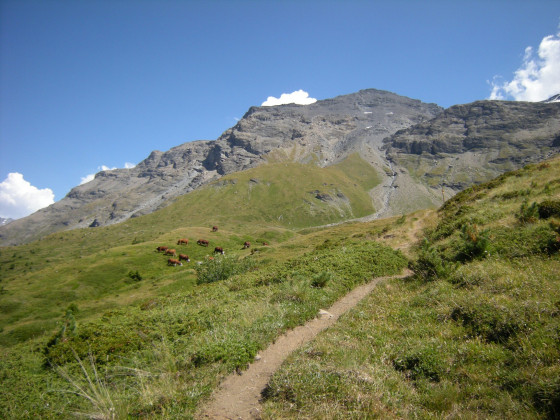 Montée au lac