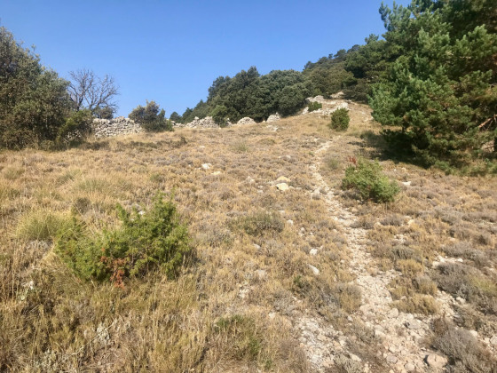 Montée au Tossal d’Encanadé