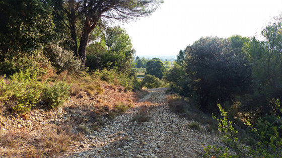Montée caillouteuse