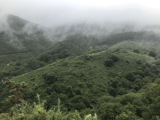 Montée dans la brume