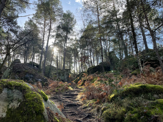 Montée dans les rochers