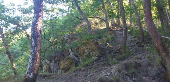 Montée de l'escarpement