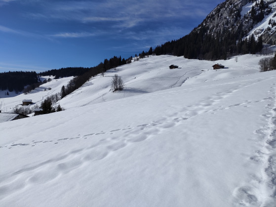 Montée depuis La Culaz