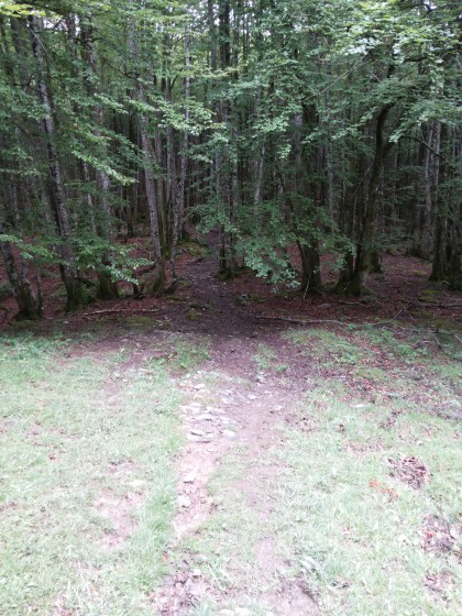 Montée des Escalats (1100m)