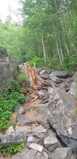 Mont&eacute;e du Barenfels