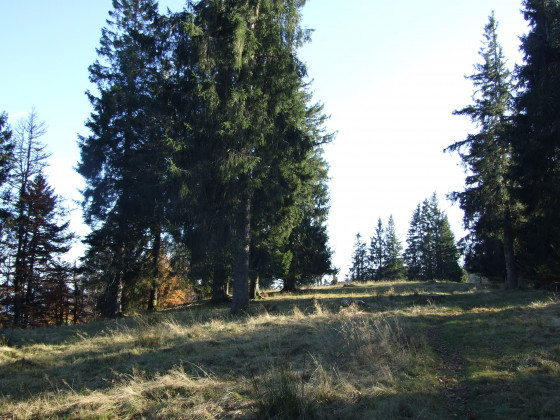 Montée du Haut de Felsach