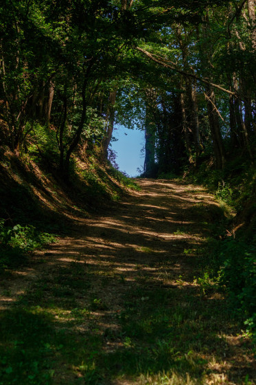 Montée du Mas Durand