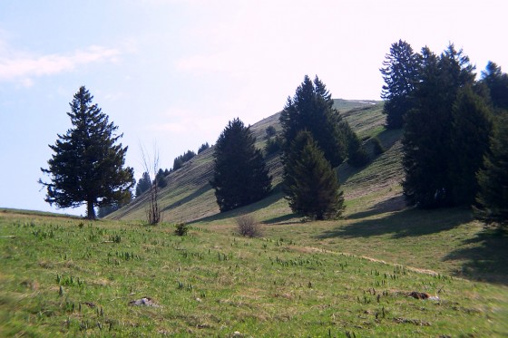 Montée du Mont Pravouta
