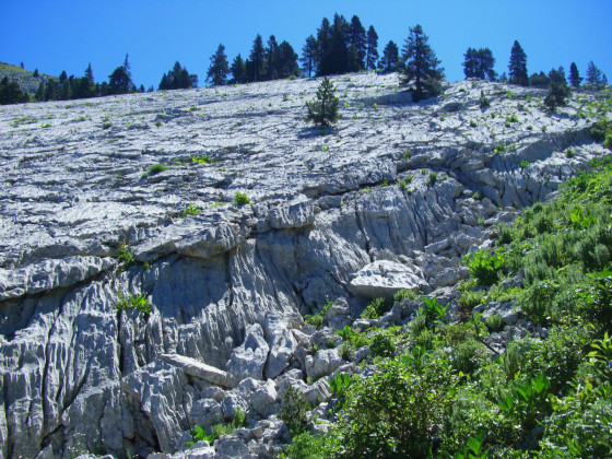 Montée du purgatoire