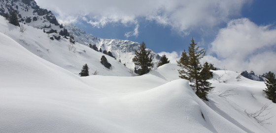 Montée en direction du lac Montée en direction du lac