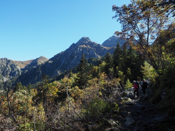 Montée initiale dans la forêt