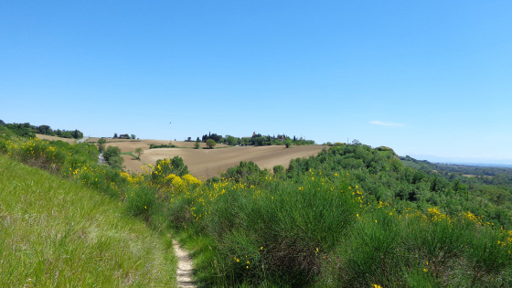 mont&eacute;e pr&eacute;c&eacute;dant le tumulus